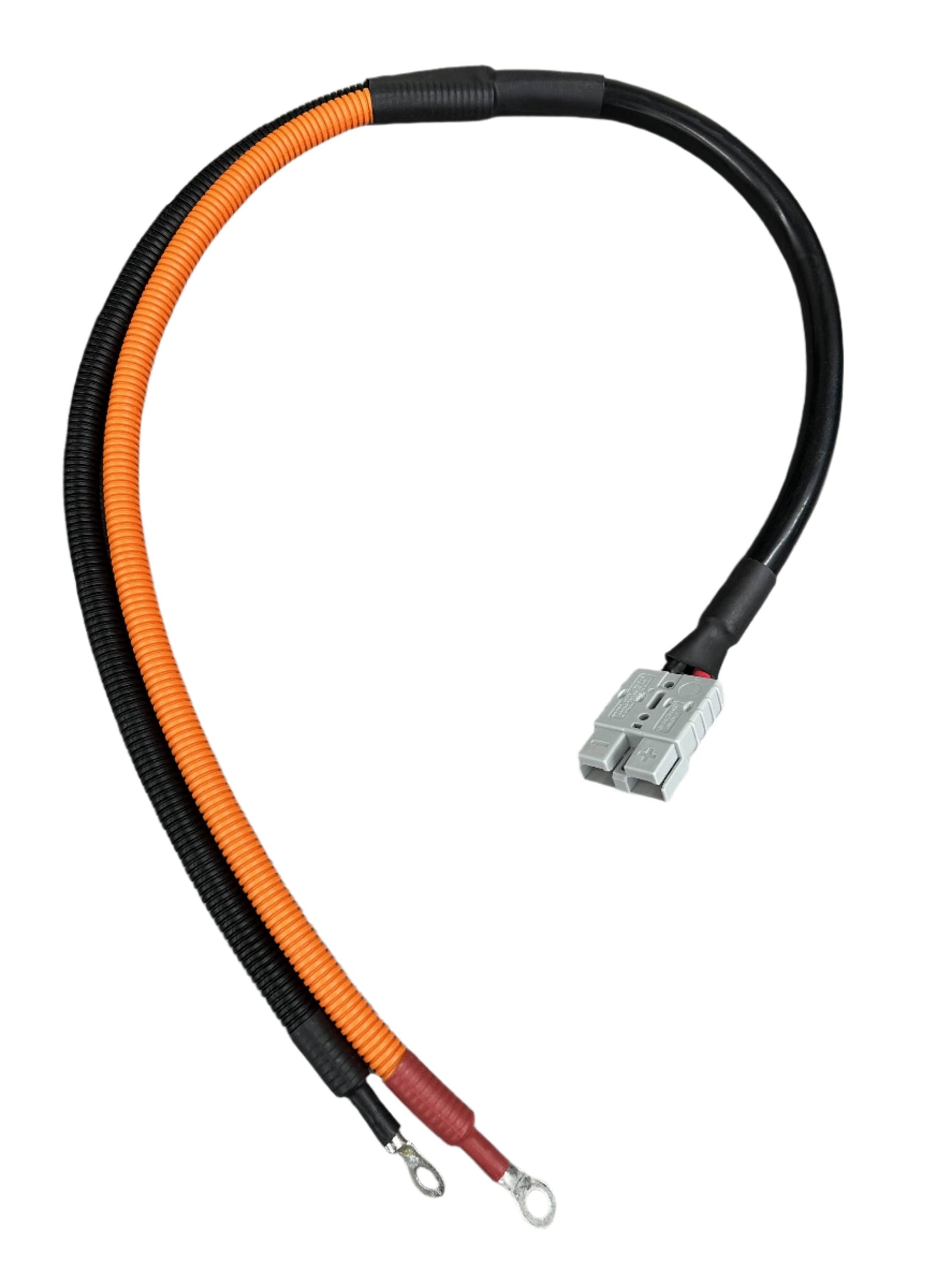 Epoch 12V 50A LiFePO4 Battery Charger